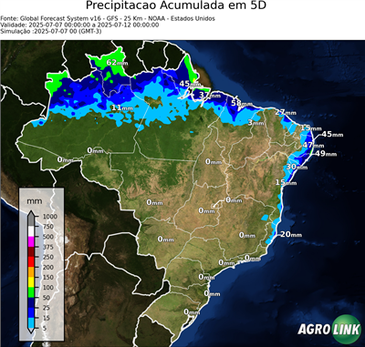 5 dias