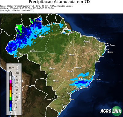 7 dias