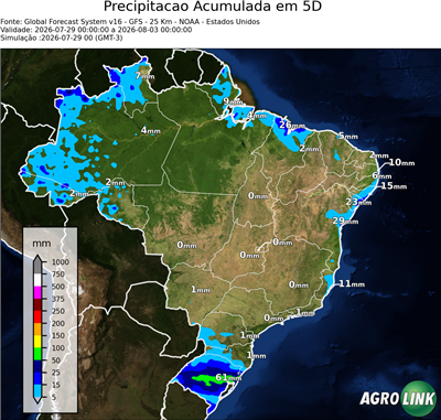 5 dias
