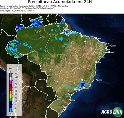 24 horas