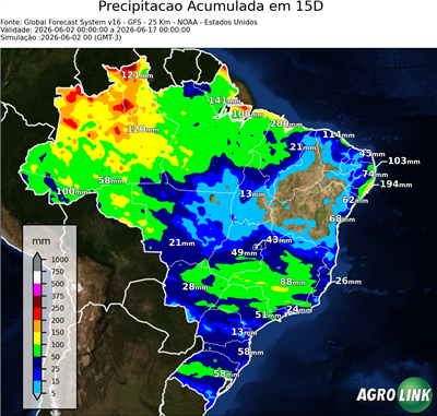 15 dias