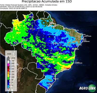 15 dias