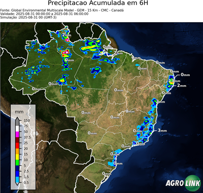 6 horas