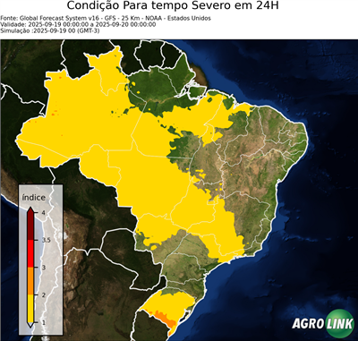 24 horas