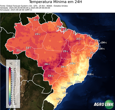 24 horas