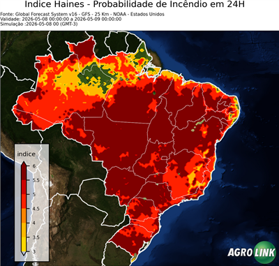 24 horas