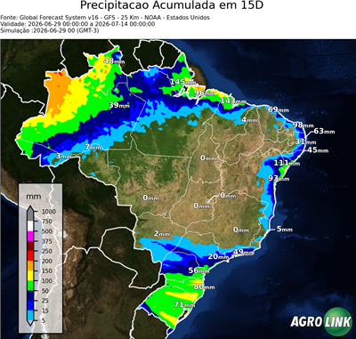 15 dias