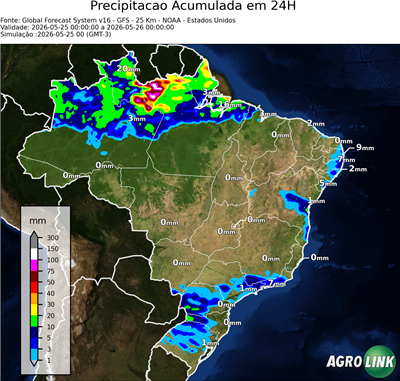 24 horas