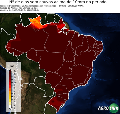 15 dias