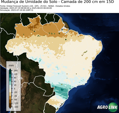 15 dias