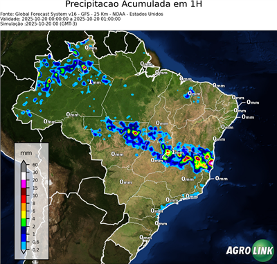 1 hora