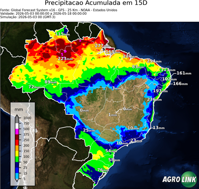 15 dias