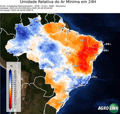 24 horas