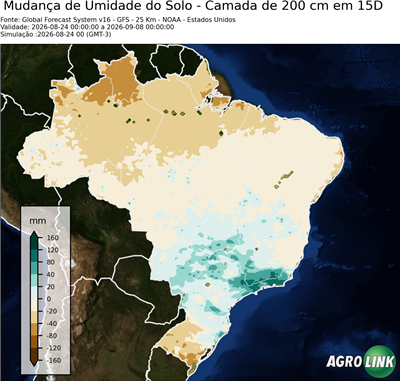 15 dias
