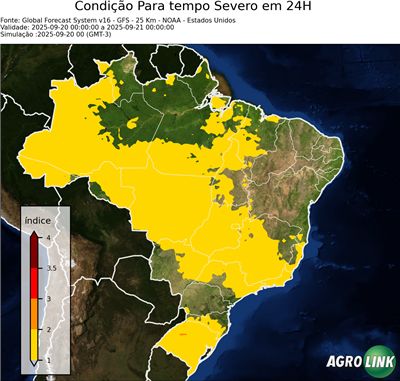 24 horas