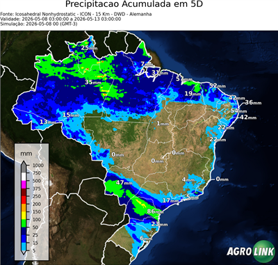 5 dias