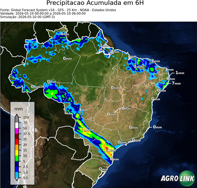 6 horas