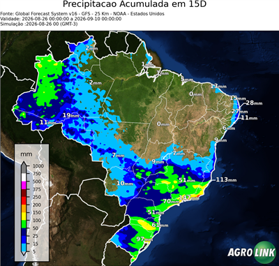 15 dias