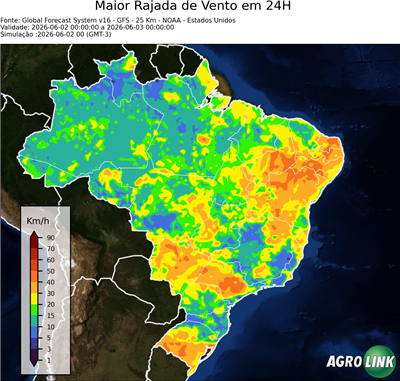 24 horas
