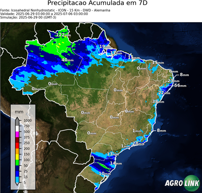 7 dias