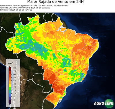 24 horas
