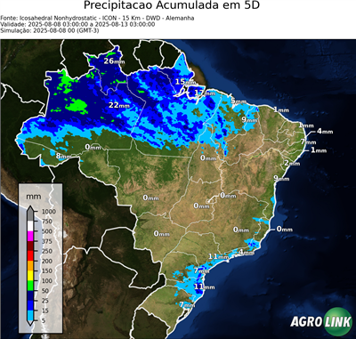 5 dias