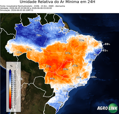 24 horas