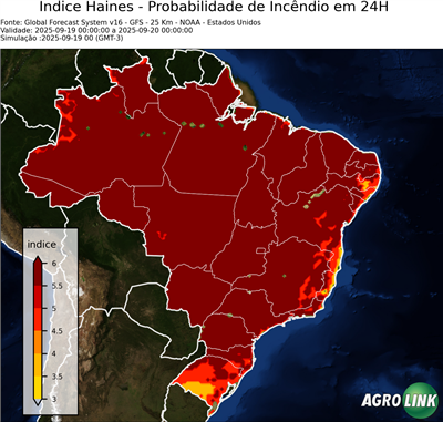 24 horas