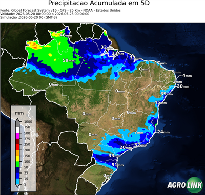 5 dias