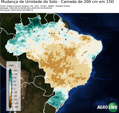15 dias