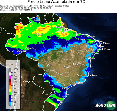 7 dias