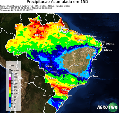 15 dias