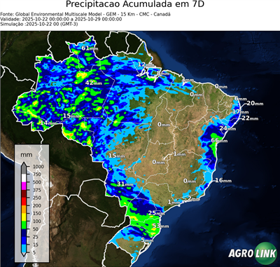 7 dias