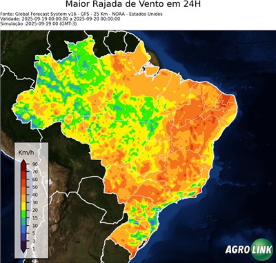 24 horas