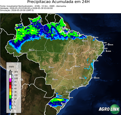 24 horas