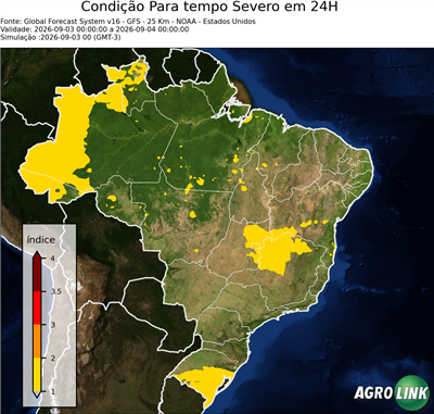 24 horas