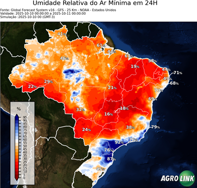 24 horas