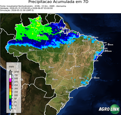 7 dias