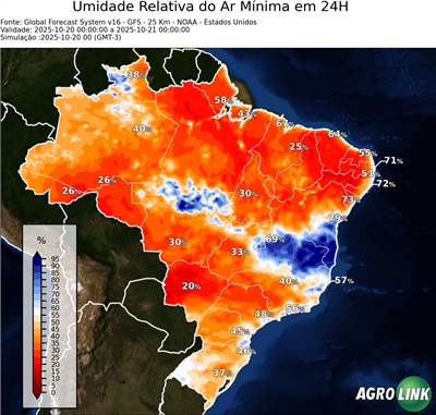 24 horas