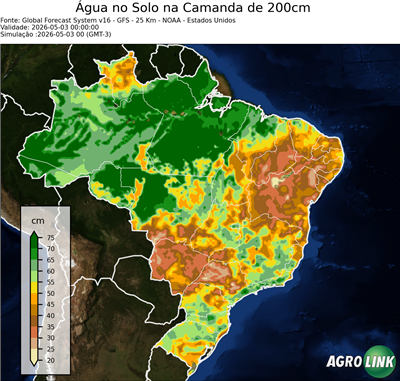 24 horas