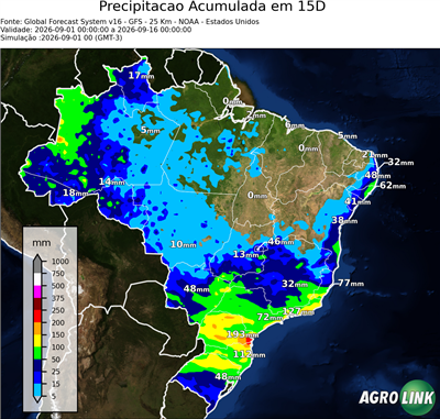 15 dias