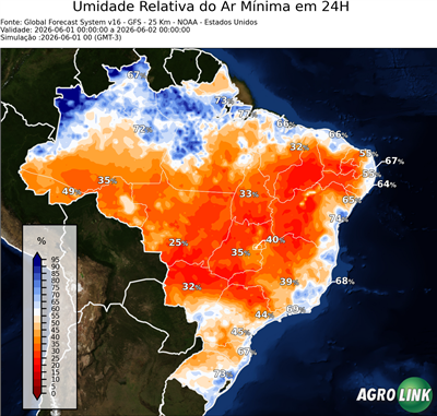 24 horas