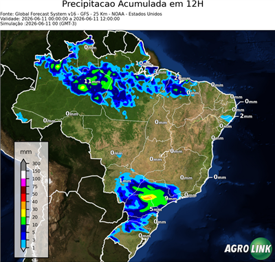 12 horas
