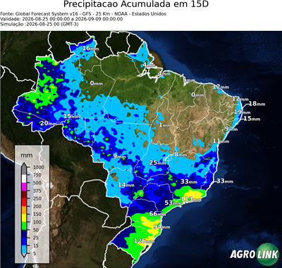 15 dias