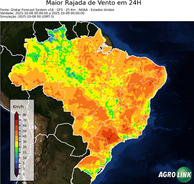 24 horas