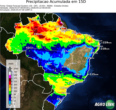 15 dias