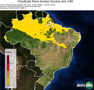 24 horas