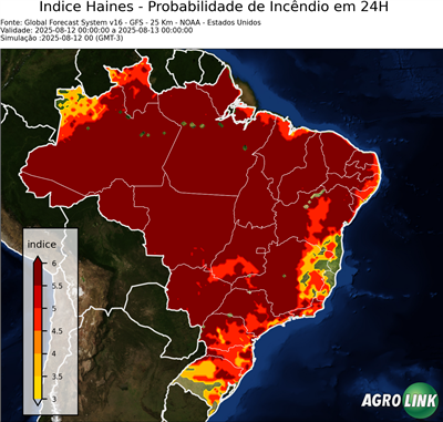 24 horas