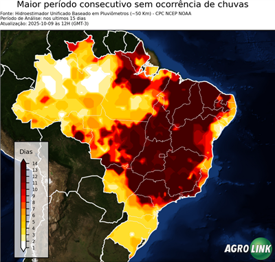 15 dias