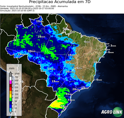 7 dias